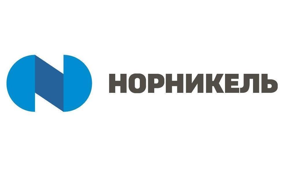 «Норникель» участвует в экономическом сотрудничестве между РФ и ЮАР